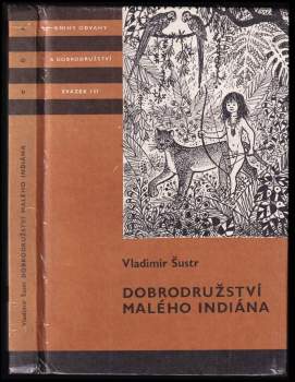 Dobrodružství malého Indiána