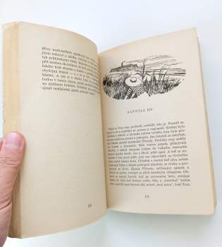 Mark Twain: Dobrodružství Toma Sawyera