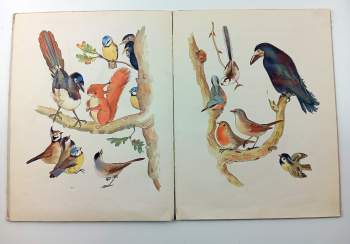 Josef Zeman: Dobrodružství veverky Zrzečky