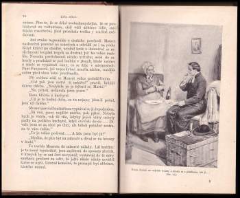 Émile Zola: Dobytí Plassansu