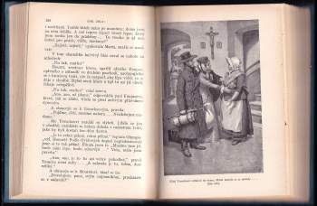 Émile Zola: Dobytí Plassansu