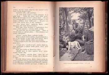 Émile Zola: Dobytí Plassansu