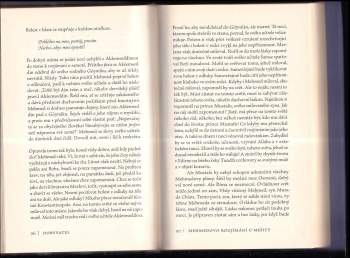 Nedim Gürsel: Dobyvatel