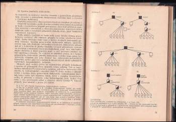 Josef Macek: Dodavatelské vztahy při dodávkách pro investiční celky