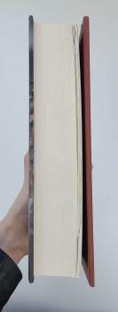 Helen Fields: Dokonalá kořist