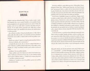 Helen Fields: Dokonalá smrt