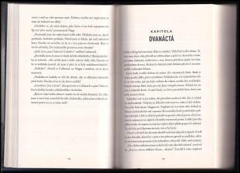 Helen Fields: Dokonalé stopy