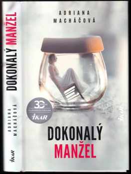 Dokonalý manžel