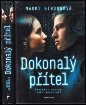 Naomi Gibson: Dokonalý přítel