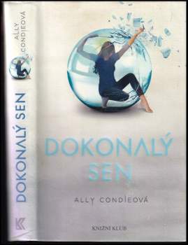 Dokonalý sen