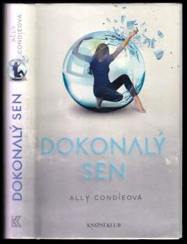 Allyson Braithwaite Condie: Dokonalý sen