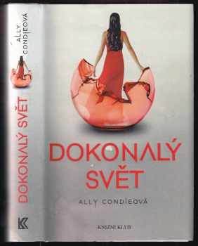 Dokonalý svět
