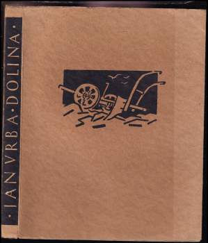 Dolina : román