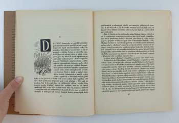 Jan Vrba: Dolina