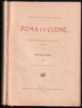 Jan Dolenský: Doma i v cizině