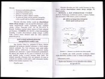Jan Navrátil: Domácí kutil a - dřevoplyn