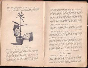 Jan Josef Těšitel: Domácí květinářství