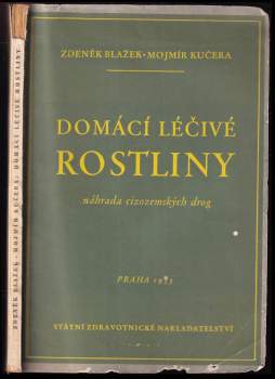 Domácí léčivé rostliny