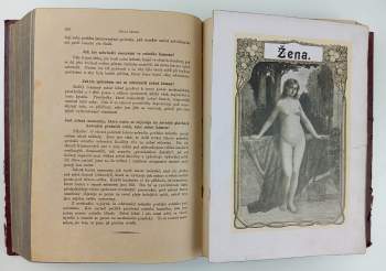 Jenny Springer: Domácí lékařka