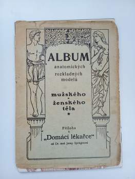 Jenny Springer: Domácí lékařka