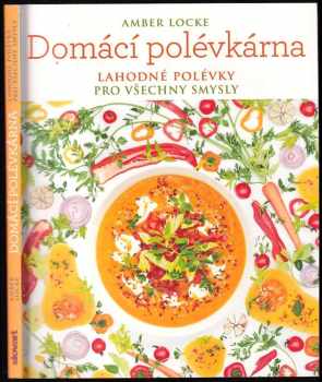 Domácí polévkárna