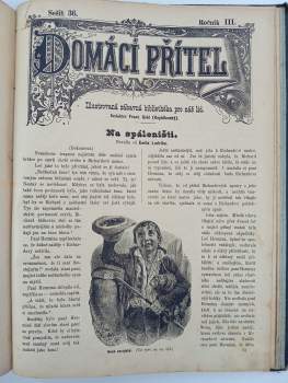 Domácí přítel