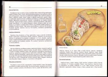 Jozef Ďurík: Domácí uzenář