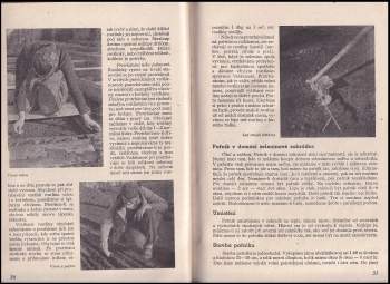 Anna Horynová: Domácí užitková zahrada