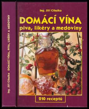 Domácí vína : piva, likéry a medoviny