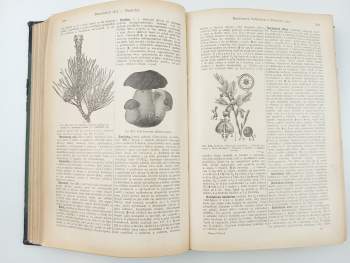 Josef Kafka: Domácí vševěd