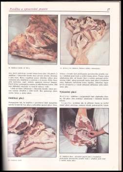 Josef Půhoný: Domácí zabijačka