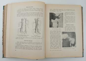 Alois Josef Kulišan: Domácí zahrady a zahrádky