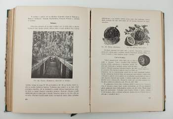 Alois Josef Kulišan: Domácí zahrady a zahrádky