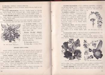 Alois Josef Kulišan: Domácí zahrady a zahrádky