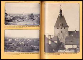 Zdeněk Procházka: Domažlice na historických vedutách, fotografiích a pohlednicích
