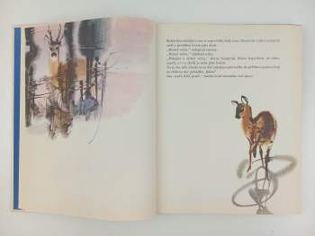 Ela Peroci: Domeček z kostek