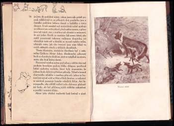 Ernest Thompson Seton: Domino