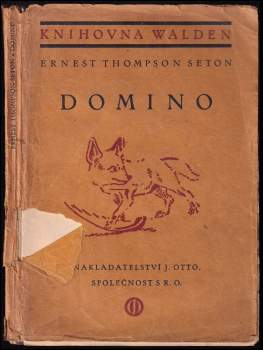 Domino