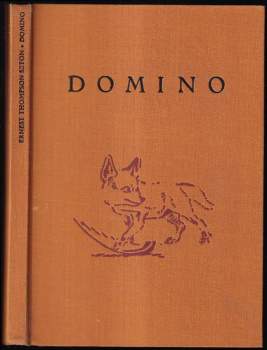 Domino