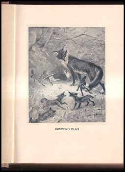 Ernest Thompson Seton: Domino - románek stříbrné lišky