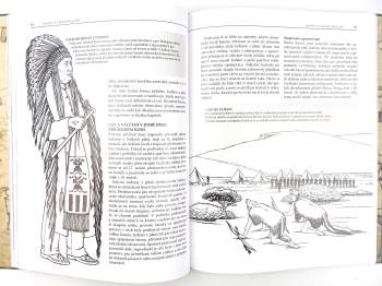 Chris McNab: Domorodí válečníci Severní Ameriky