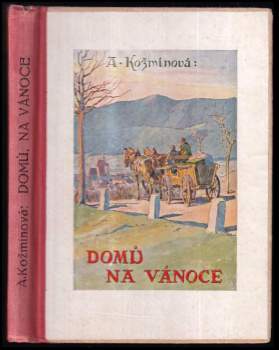 Domů, na vánoce
