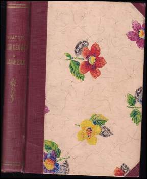 Don César a Salomena