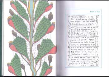 Josef Zajíček: Dopisy Čajce