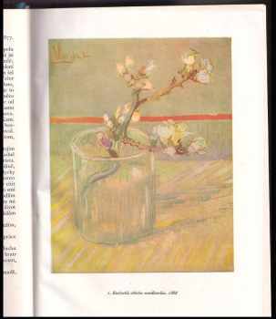 Vincent van Gogh: Dopisy