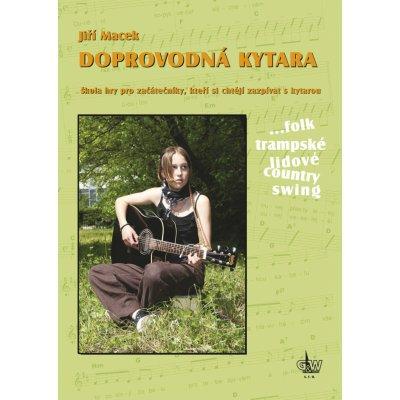 Doprovodná kytara