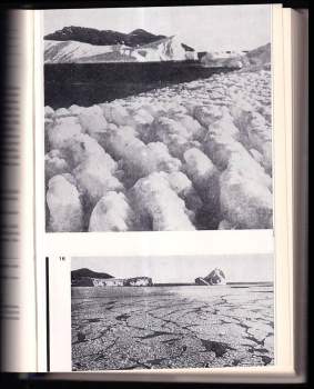 Robert Falcon Scott: Dosažení jižní točny