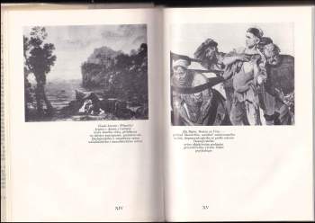 Boris Ivanovič Bursov: Dostojevskij a jeho svět