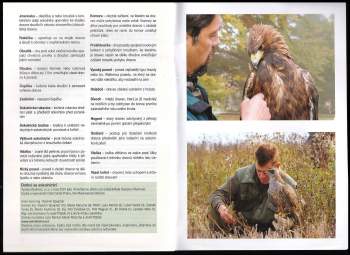 Vladimír Spejchal: Dotkni se sokolnictví