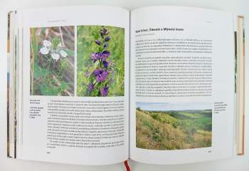 Oldřich Fejfar: Doupovské hory